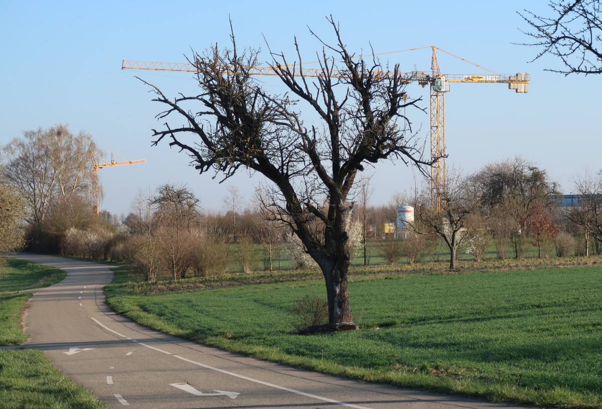 Gewerbegebiet Winterrot, Karlsruhe-Palmbach, Rudolf-Link-Straße